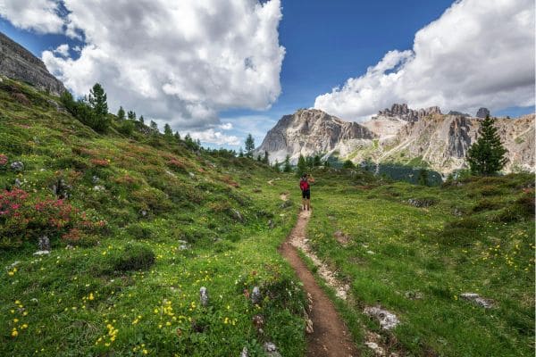 10 Must-Hike Trails for Beginners