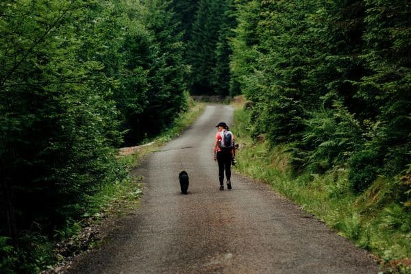 Tips for Adventurous Canine Companions