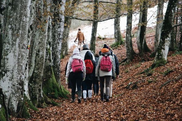 Forest Exploration